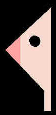 Head