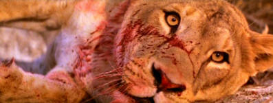 Zakes Mokae Roar