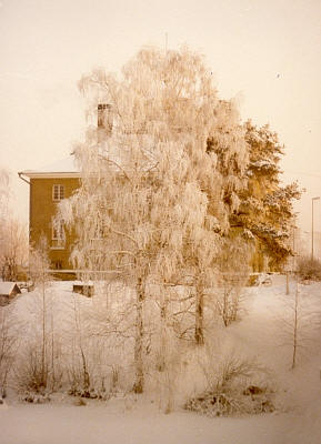 Finland  Iain Fisher 2003