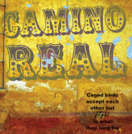 Camino Real directed Mel Shapiro