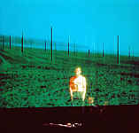 Sarah Kane Crave